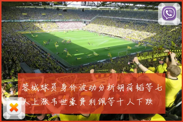 蓉城球员身价波动分析胡荷韬等七人上涨韦世豪费利佩等十人下跌